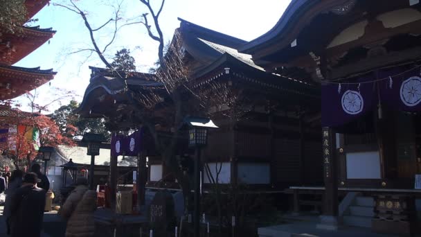 Gente Rezando Kongouji Sub Temple Tokio Enfoque Profundo Lado Derecho — Vídeo de stock