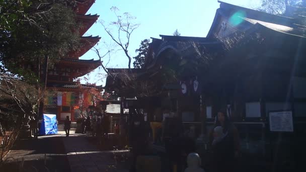 サブ寺金剛寺東京の右側に 東京の伝統的な場所 カメラ キヤノン Eos — ストック動画