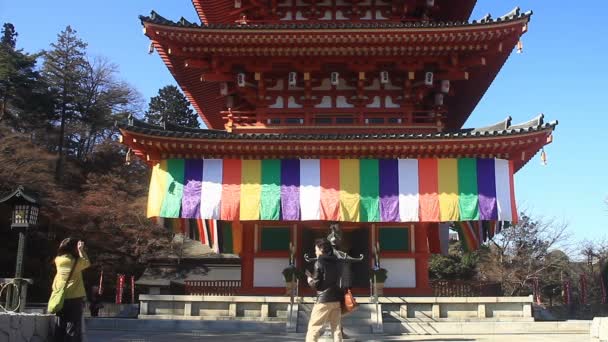 塔在东京的 Kongouji 寺中深深聚焦 它在东京的传统位置 摄像头 Eos — 图库视频影像