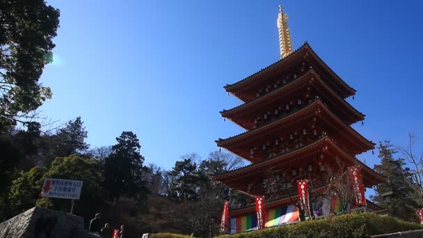 Torre Tempio Kongouji Tokyo Posizione Sinistra Angolo Basso Una Posizione — Video Stock