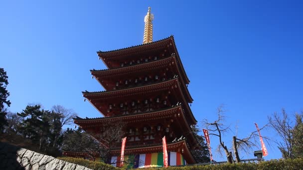 Torre Templo Kongouji Tokio Posición Central Enfoque Profundo Ángulo Bajo — Vídeos de Stock