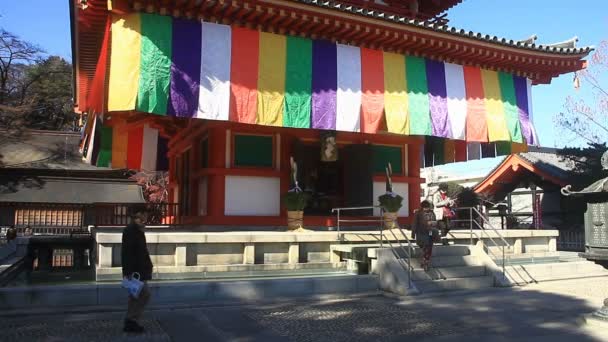 Tour Côté Gauche Temple Kongouji Tokyo Foyer Profond Est Endroit — Video