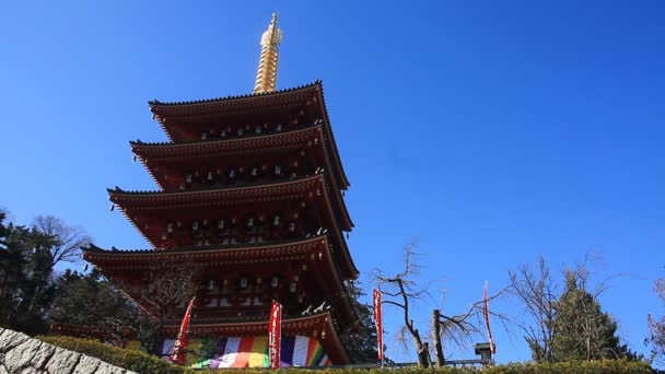 Torre Templo Kongouji Tokio Enfoque Profundo Ángulo Bajo Posición Izquierda — Vídeos de Stock