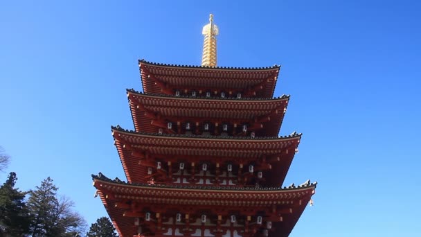 Torre Templo Kongouji Tokio Enfoque Profundo Inclinar Hacia Abajo Lugar — Vídeos de Stock