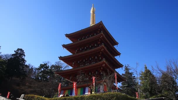 東京センター位置ローアングルで金剛寺寺塔 東京で伝統的な場所 カメラ キヤノン Eos — ストック動画