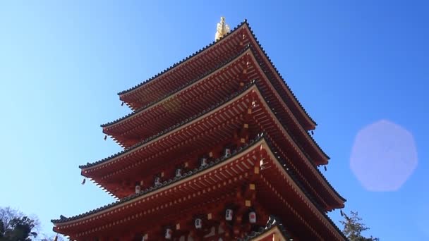 Turm Rechts Kongouji Tempel Tokio Tief Fokus Nach Unten Kippen — Stockvideo