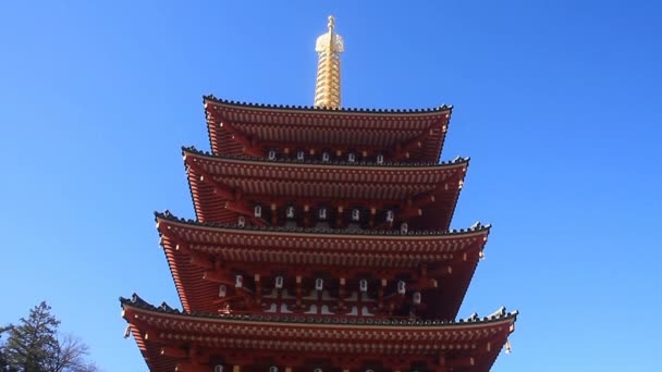 Tour Temple Kongouji Tokyo Bascule Vers Bas Est Endroit Traditionnel — Video