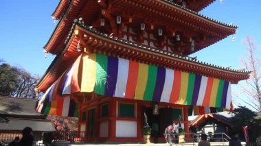 Sol tarafta Tokyo tilt derin odak kadar Kongouji tapınağında kulesi / onun Tokyo geleneksel bir konumda. fotoğraf makinesi: Canon Eos 7d