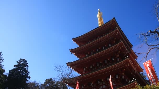 Tornet Till Höger Kongouji Templet Tokyo Djupa Fokus Låg Vinkel — Stockvideo