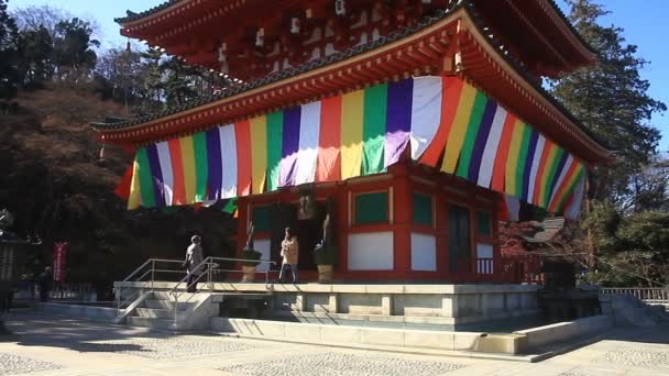 Tornet Till Höger Kongouji Templet Tokyo Lämnade Panorering Djupa Fokus — Stockvideo