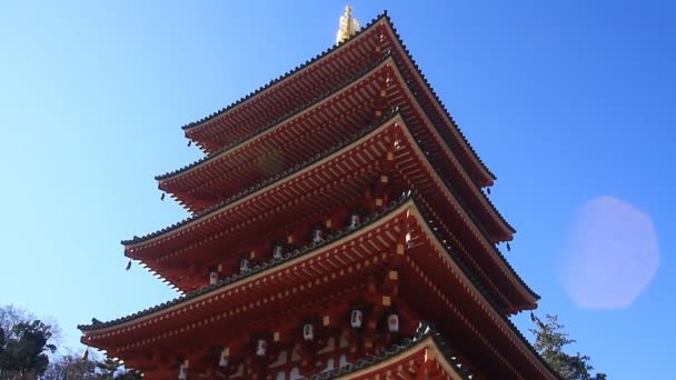 Turm Rechts Kongouji Tempel Tokio Kippen Ist Ein Traditioneller Ort — Stockvideo