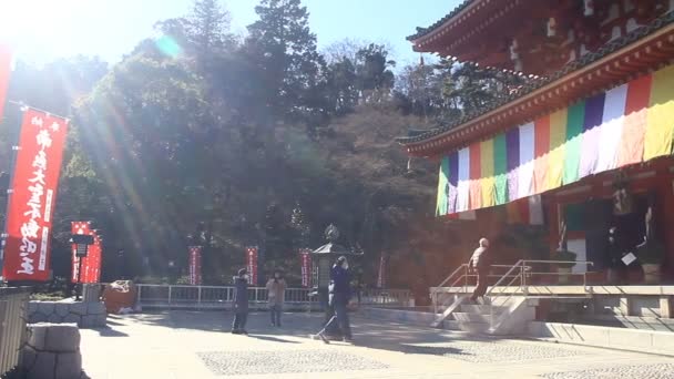 塔右侧在 Kongouji 寺庙在东京右平移或它一个传统地点在东京 摄像头 Eos — 图库视频影像