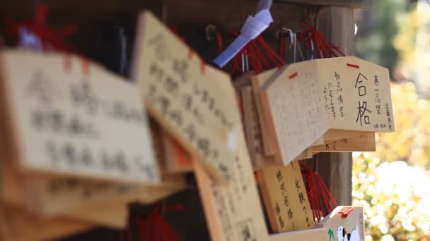 Ljuslykta Tablett Vid Kongouji Templet Tokyo Nära Sköt Tillbaka Grunt — Stockvideo