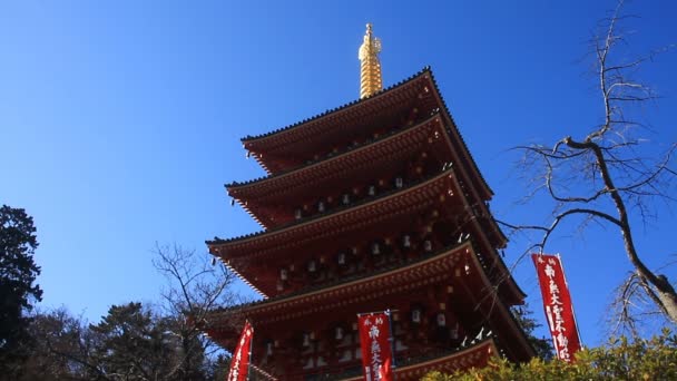 Torre Lado Direito Templo Kongouji Tóquio Ângulo Baixo Tiro Largo — Vídeo de Stock