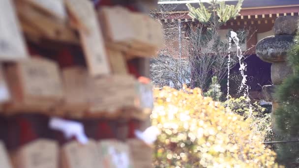 중간에 Kongouji 사원에서 초점의 도쿄에서 전통적인 카메라 Eos — 비디오