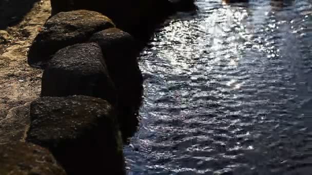 Brook Parco Kurokawa Hino Tokyo Una Posizione Naturale Tokyo Macchina — Video Stock