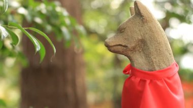 Nezu tapınak koruyucusu Fox Kitsune sığ odak yakın atış Tokyo / onun Tokyo geleneksel bir konumda. fotoğraf makinesi: Canon Eos 7d