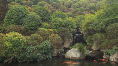 Bazı carps göle geniş atış standart Nezu tapınak Tokyo'da odaklanmak / onun Tokyo geleneksel bir konumda. fotoğraf makinesi: Canon Eos 7d