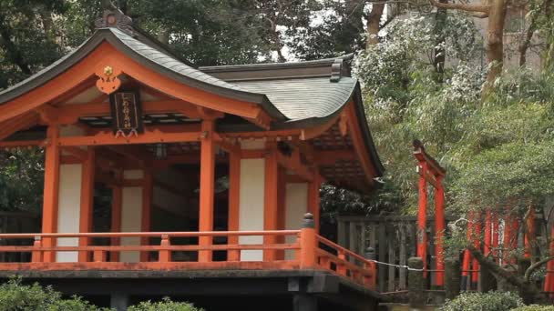 Santuario Nezu Lato Sinistro Tokyo Tiro Medio Fuoco Standard Una — Video Stock