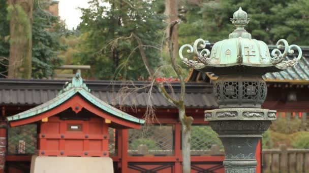 Nezu Shrine Ліхтар Tourou Середнього Вистрілив Стандартний Фокус Токіо Своїм — стокове відео