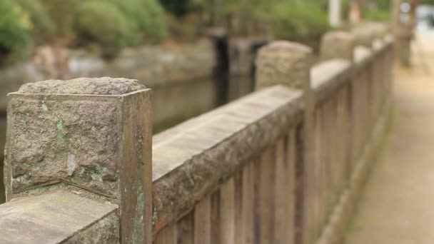 湖浅いフロント フォーカスで根津神社東京でショットを閉じる その東京で伝統的な場所 カメラ キヤノン Eos — ストック動画