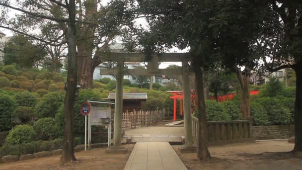 Torii Como Una Entrada Principal Del Túnel Santuario Nezu Tokio — Vídeos de Stock