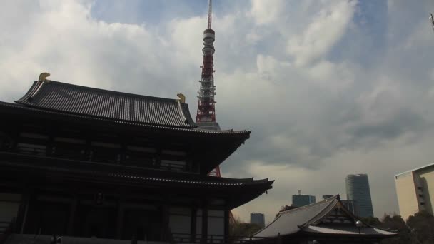 Zojoji Belangrijkste Tempel Breed Schot Linkerzijde Tokio Zijn Een Traditionele — Stockvideo