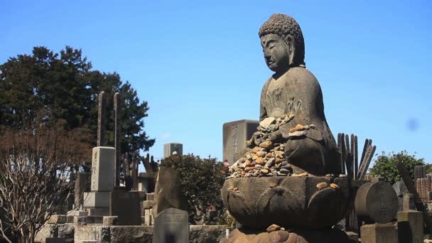 Tumba Con Buda Medio Disparo Templo Gotokuji Tokio Una Ubicación — Vídeo de stock