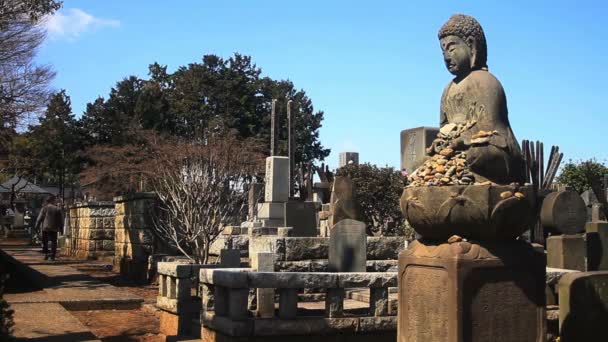 Могила Budha Широкий Стріляли Gotokuji Храмом Токіо Своїм Традиційним Розташуванням — стокове відео