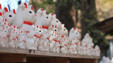 Sol tarafta heykel kediler atış Tokyo Gotokuji Tapınağı'nda aramak / onun Tokyo geleneksel bir konumda. fotoğraf makinesi: Canon Eos 7d