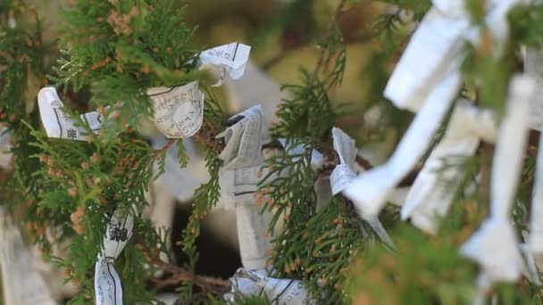 Fotune Ritueel Van Shot Ondiepe Focus Gotokuji Tempel Tokio Zijn — Stockvideo