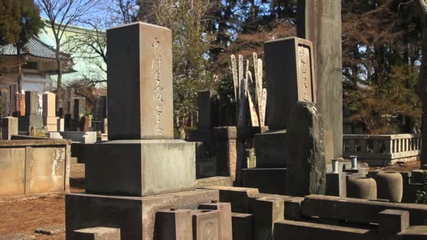 Atış Tokyo Gotokuji Tapınağı Nda Mezarı Onun Tokyo Geleneksel Bir — Stok video