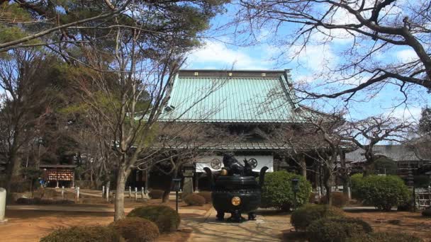 Setagaya Gotokuji Tapınak Önü Onun Tokyo Geleneksel Bir Konumda Fotoğraf — Stok video