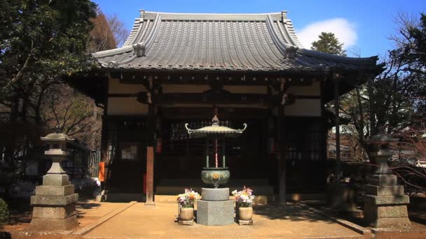 Tempio Dei Gatti Statua Tempio Gotokuji Tokyo Una Posizione Tradizionale — Video Stock