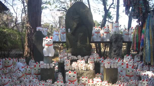 Standbeeld Katten Centrum Brede Beschoten Gotokuji Tempel Tokio Zijn Een — Stockvideo