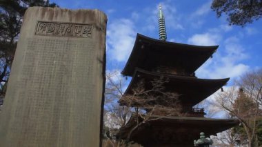 Setagaya, mezar Gotokuji ile kule. / Onun Tokyo geleneksel bir konumda. fotoğraf makinesi: Canon Eos 7d