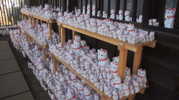 Statue Cats Wide Shot Gotokuji Temple Tokyo Its Traditional Location — Stock Video