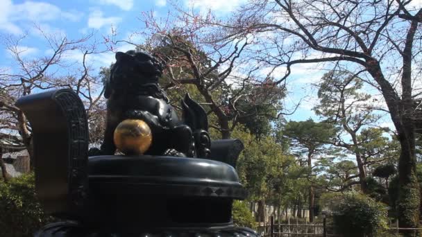 Estátua Gardian Cão Templo Chalkuji Setagaya Uma Localização Tradicional Tóquio — Vídeo de Stock