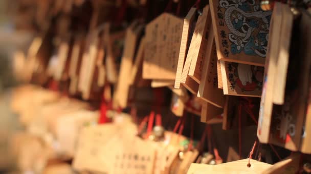 Tableta Votiva Cerca Enfoque Frontal Gotokuji Templo Una Ubicación Tradicional — Vídeo de stock