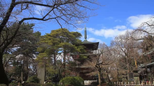 Torony Széles Lövés Gotokuji Templom Setagaya Hagyományos Környezetben Tokióban Fényképezőgép — Stock videók