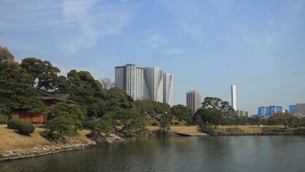 日本庭院在 Hamarikyuu 公园之后修造宽广的射击或它一个自然地点在东京 摄像头 Eos — 图库视频影像