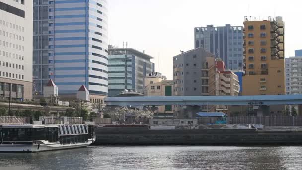 High Way Buildings Long Shot Hamarikyuu Park Its Nature Location — Stock Video