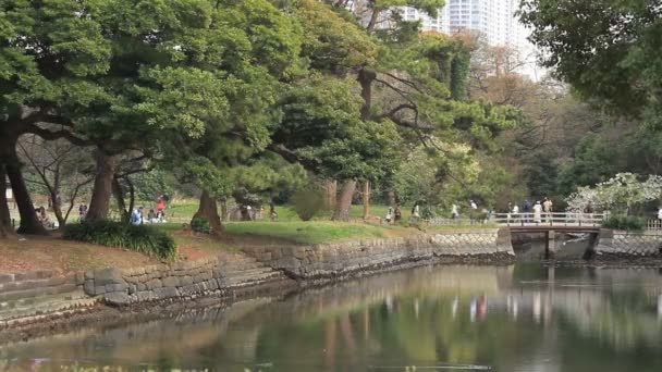 Mensen Komen Gaan Brug Long Shot Hamarikyuu Park Zijn Een — Stockvideo