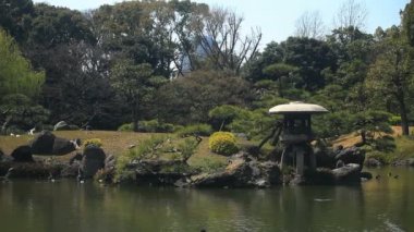 Japon bahçe orta Kiyosumi Shirakawa vurdu. / Onun Tokyo geleneksel bir parkta. fotoğraf makinesi: Canon Eos 7d