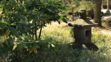 Japon bahçe yakın atış Kiyosumi Shirakawa fener / onun Tokyo geleneksel bir parkta. fotoğraf makinesi: Canon Eos 7d