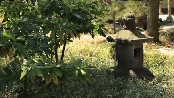 Lykta Japansk Trädgård Nära Beskjutna Kiyosumi Shirakawa Dess Traditionell Park — Stockvideo