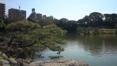 Japon bahçe Kiyosumi Shirakawa, binaların arkasında. / Onun Tokyo geleneksel bir parkta. fotoğraf makinesi: Canon Eos 7d
