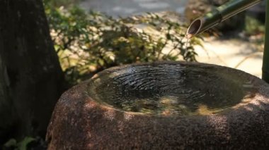 Aslan Kiyosumi Shirakawa orta ateş tehdit etti. / Onun Tokyo geleneksel bir parkta. fotoğraf makinesi: Canon Eos 7d