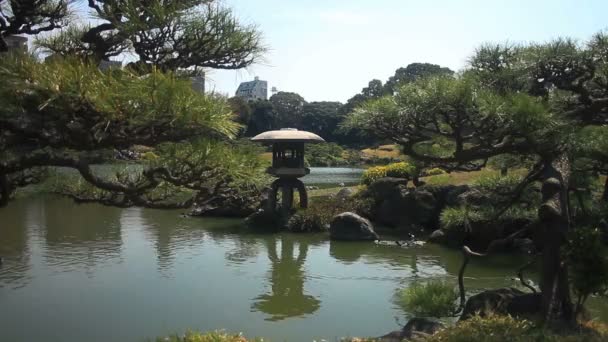 Japanse Tuin Het Midden Van Kiyosumi Shirakawa Schot Diepe Focus — Stockvideo