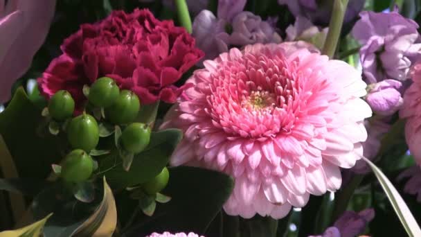Arrenged Λουλούδι Της Ένα Λουλούδι Arrenged Φωτογραφική Μηχανή Canon Eos — Αρχείο Βίντεο